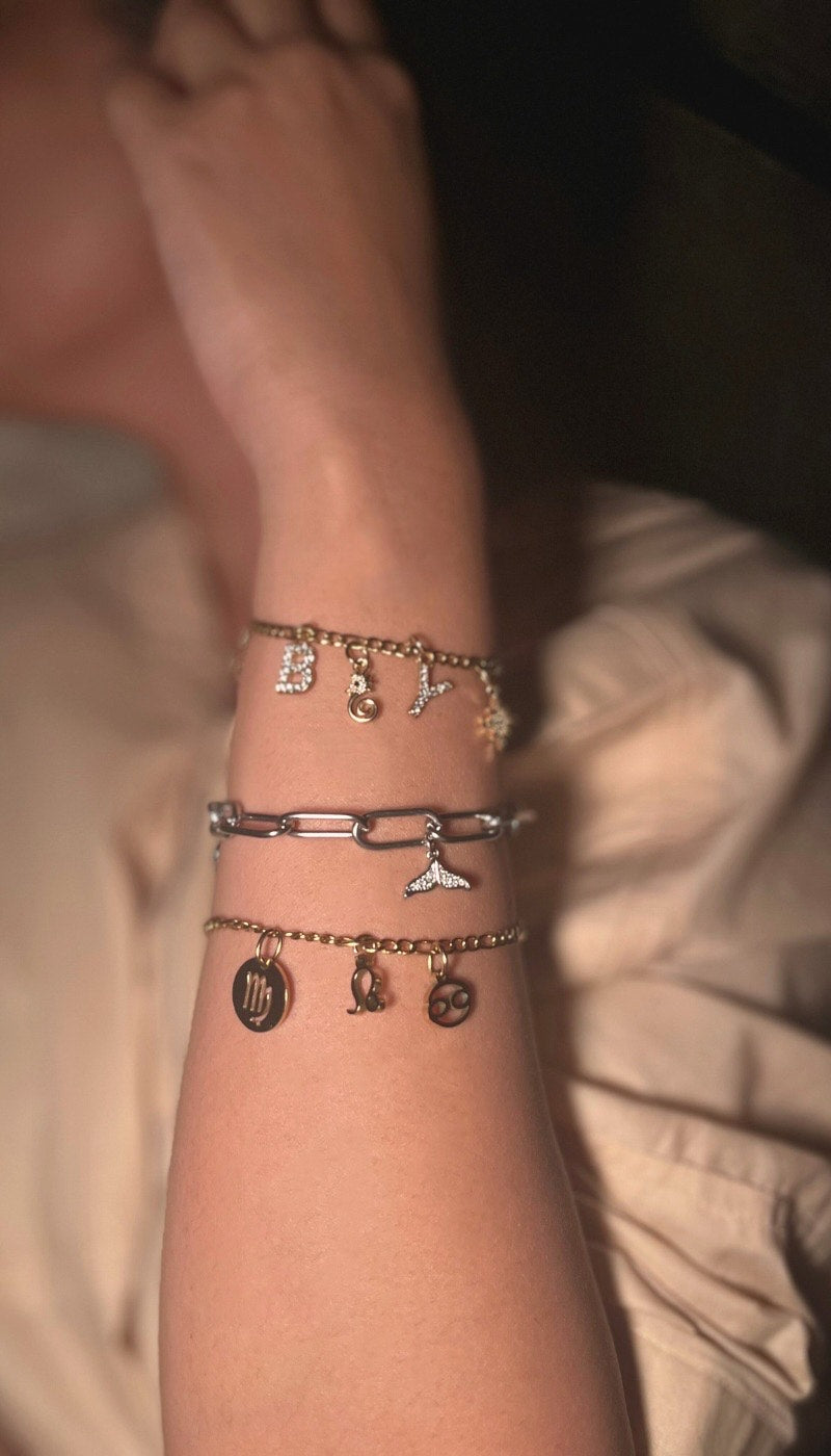 Charm Bracelet 3