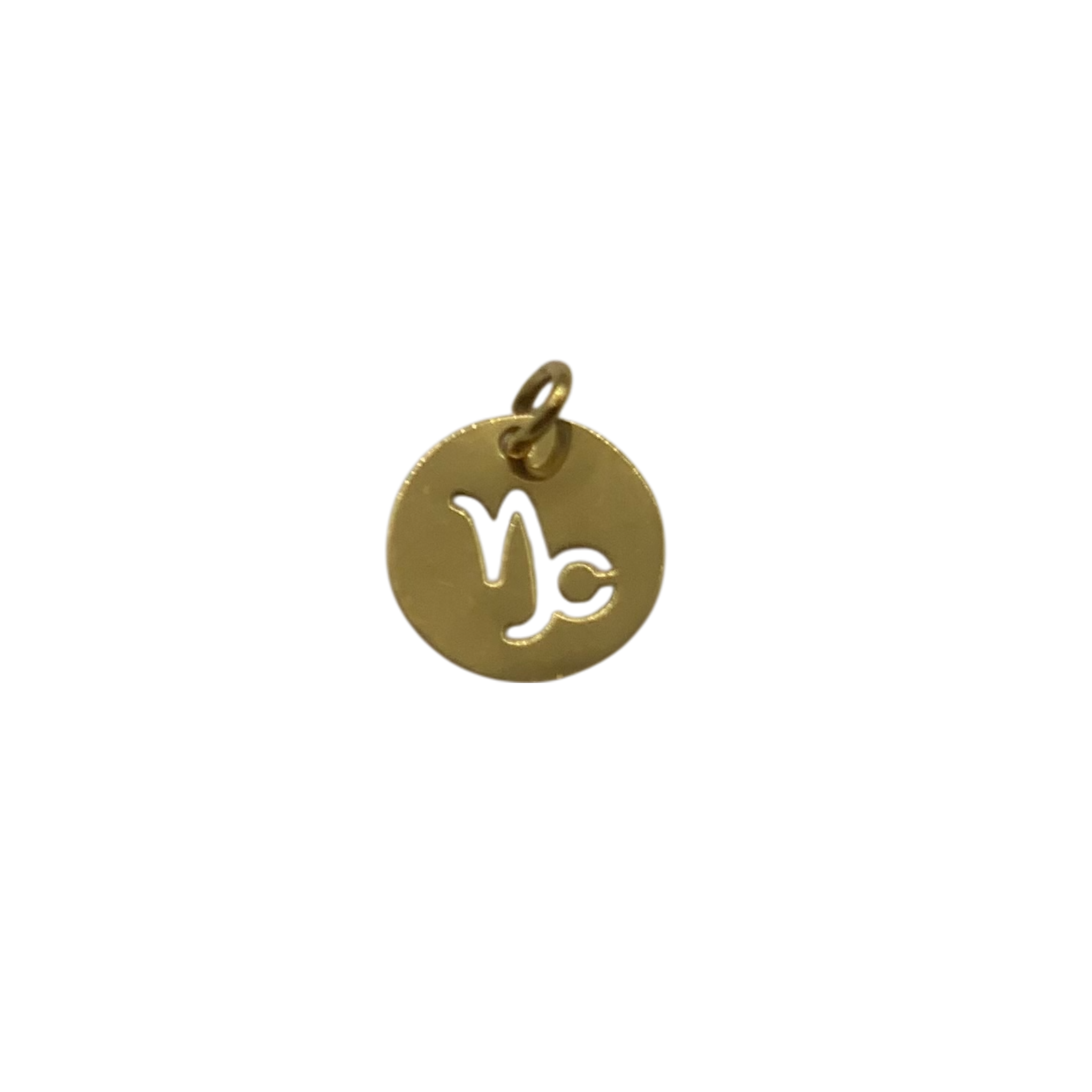 Horoscope Charms
